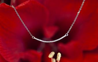 Dandynette - Redline