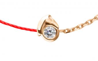 Bébé Mini Horse  - Redline