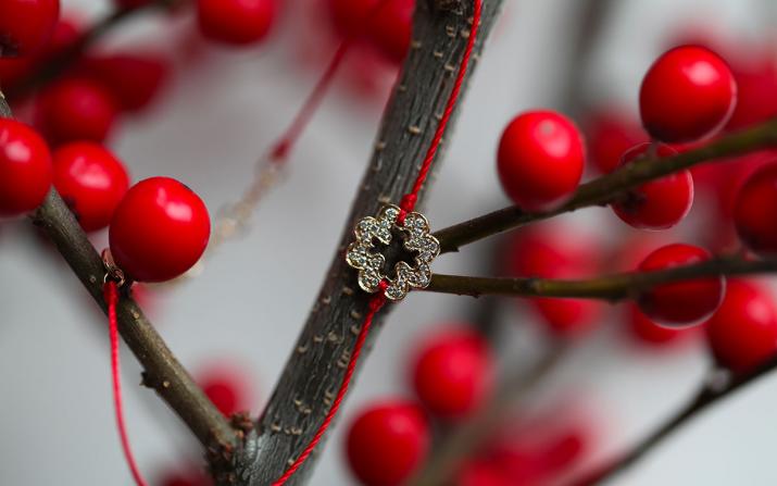String Bracelet Trefle J Sting Bracelet Yellow Gold RedLine Jewelry - Redline - 0++