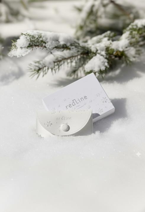 Snap-fastening pouch with silver snowflakes and embossed logo - Redline - 0++