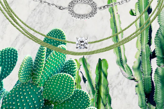 Changement de décor pour notre site ! En mode Palmier !