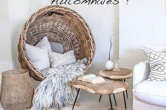 Quoi faire les dimanches automnales ?