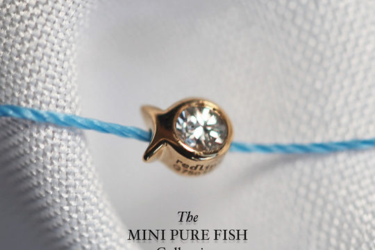 NOUVEAU: Mini Pure Fish
