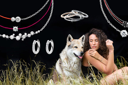 Une balade en forêt avec Redline