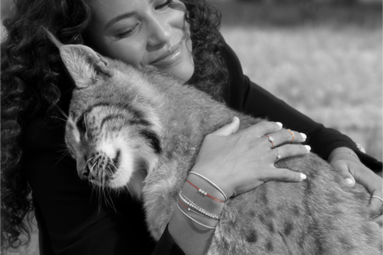 Retour vers l'authenticité