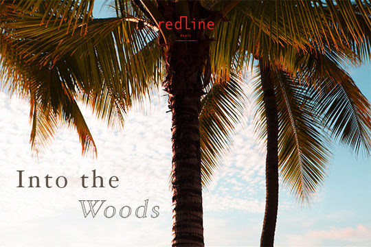 Into the wood: bijoux pour la plage