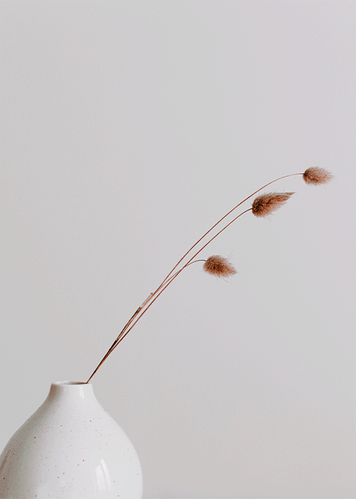 Symbol of charm and refinement