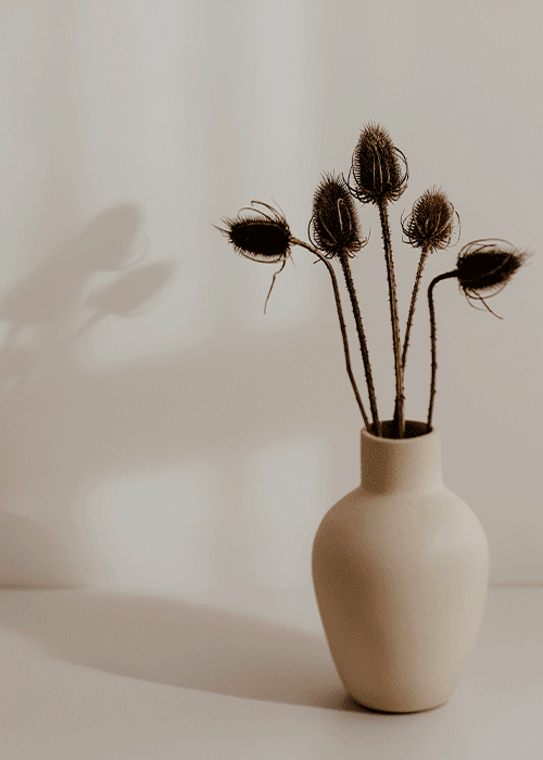 A jewel, a lifestyle