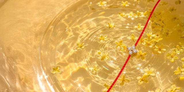 The Shiny Bracelet, minimalist and timeless